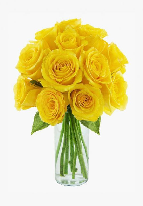 Aster Rose