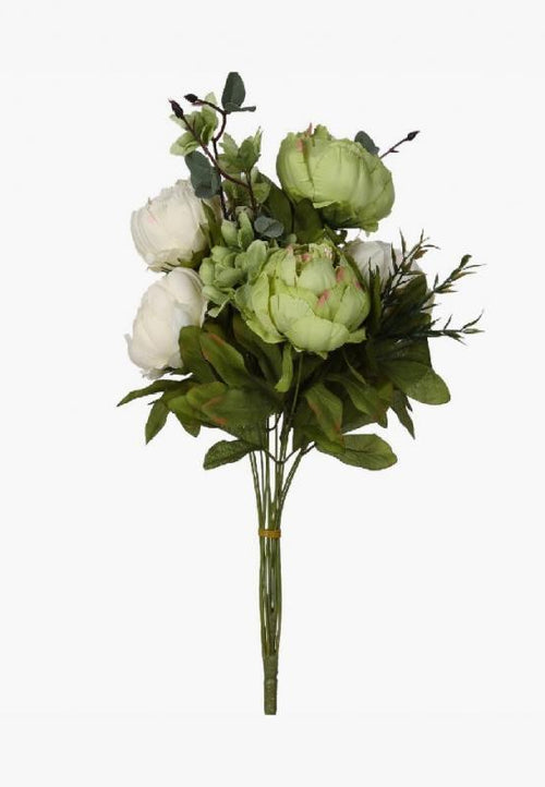 Rose flowers